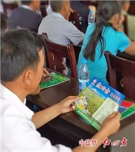 研究起红四方复合肥产品单页