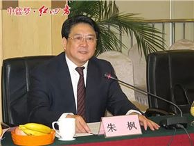 中盐红四方股份有限公司董事长朱枫寄语