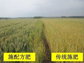配方施肥增产对比图