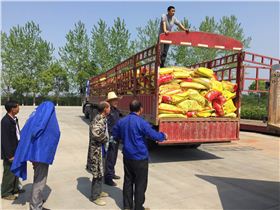 湖北化肥批发商李先生正在组织下货
