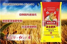 红四方增效控失肥42%（22-8-12）适用于小麦