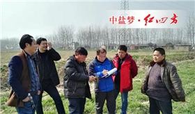 金湖红四方复合肥经销商打造家喻户晓品牌，送服务到田间
