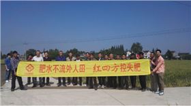 芜湖红四方小麦控失肥观摩会现场