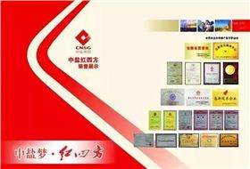 中盐红四方技术创新优势突显