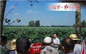 红四方复合肥产品推广经理黄总正在为大家介绍试验田