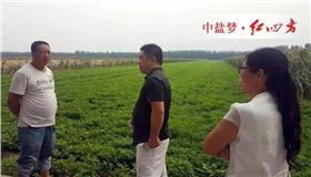 红四方花生肥效果好