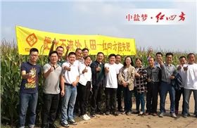 2016年9月5日吉林省公主岭控失肥玉米试验示范现场观摩