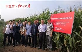 9月6日吉林省扶余玉米控失肥试验示范现场观摩会