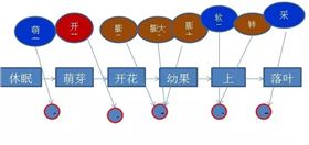 为了更合理的教会大家施肥，我们推出5大节点用肥方案，如上图所示。