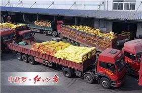 2月29日，全国各地复合肥销售活动进行的如火如荼，中盐红四方抢占市场制高点，各地销售中心捷报频传，销量不断攀升，复合肥发货量同期增长20%，创历史新高，迎来2016年农化销售“开门红”。