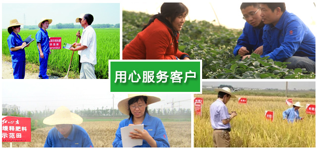 红四方复合肥厂家农化团队用心服务每一位农民