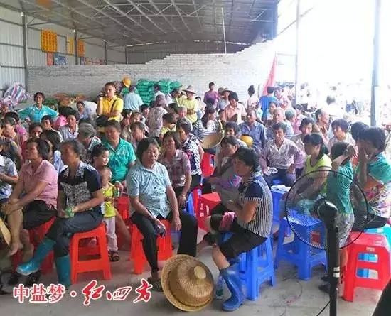 广东茂名茂南区金塘镇举办了红四方农民会