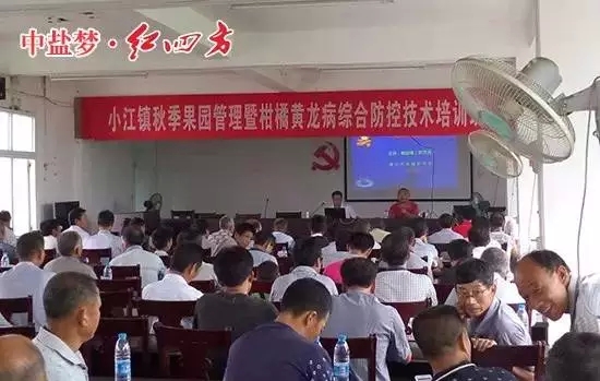 专家一上台，就果树土壤追肥、病虫害防治、整形修剪、疏花疏果等问题