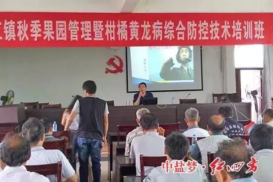 红四方江西中心经理罗玉国为果农们揭开了柑橘高产的秘诀