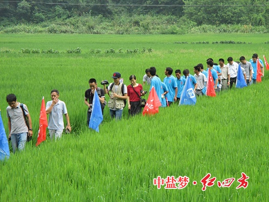 身着“红四方”蓝色文化衫，种植大户们一边观赏葱葱郁郁的水稻，一边亲身体验红四方缓释肥培育的“非比寻常”水稻。