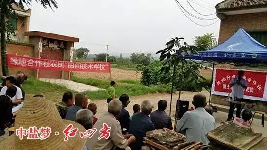 控失肥是化肥的更新换代产品，是国家大力提倡发展的节能环保肥料，是肥料未来的方向.