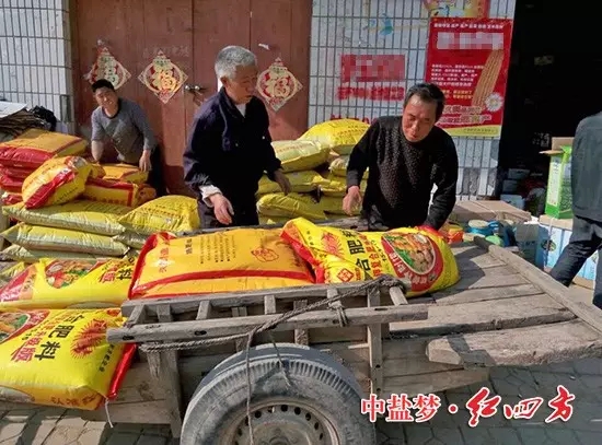 小麦肥哪家强，还数红四方.