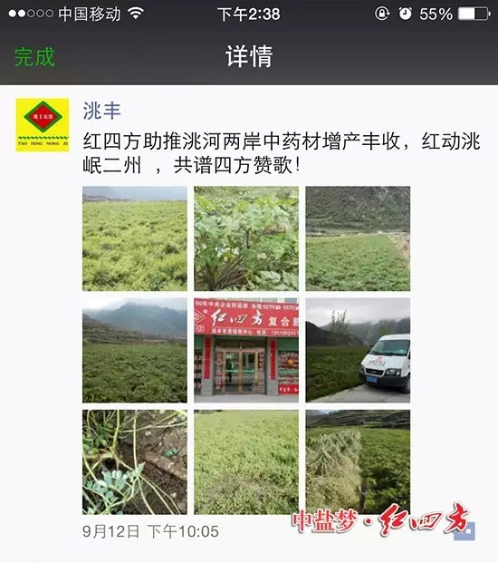 红四方复合肥助力药材增产丰收