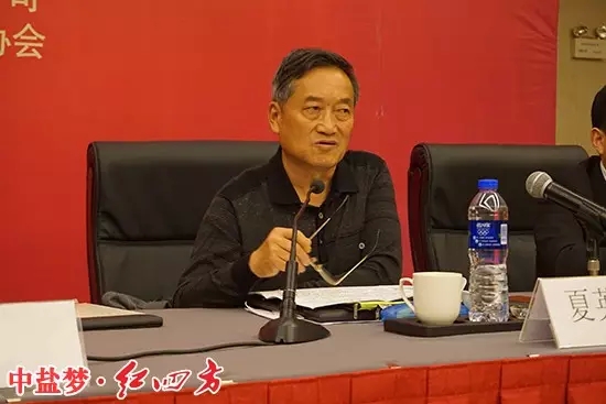 安徽省化肥工业协会名誉理事长夏英彪讲话
