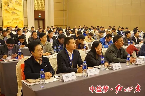 会场一瞥 会场一瞥