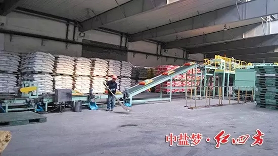 在红四方新区实习 在红四方新区实习