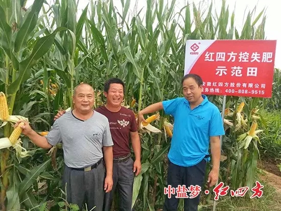 山东青州的田间，施用红四方玉米控失肥的农民喜获丰收