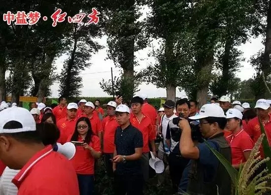 多家媒体争相报道东北红四方缓释肥玉米现场观摩会