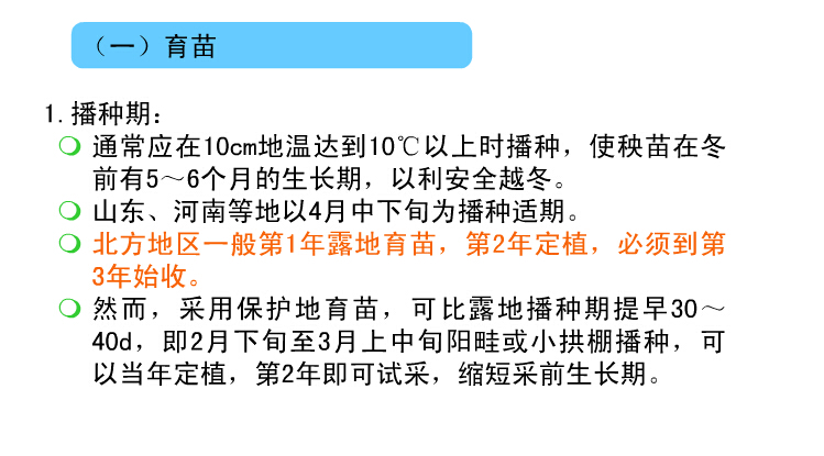 芦笋种植技术—育苗