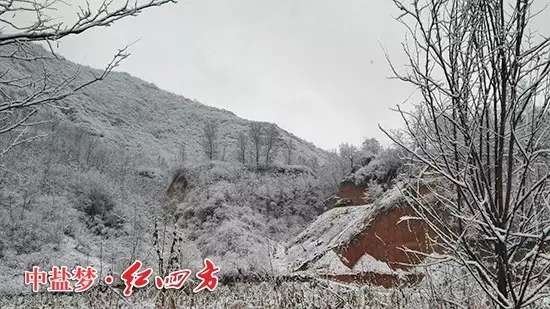河南林州大雪纷飞了好几天，一片银装素裹，美丽极了，也让红四方农化销售员走村入户的道路变得崎岖坎坷