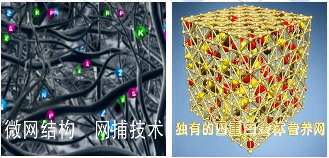 网捕技术有效保留养分不流失