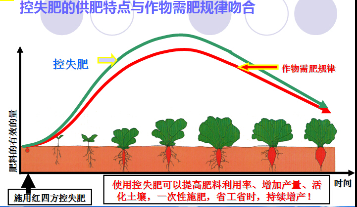 控失肥供肥特点