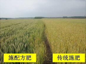 配方施肥增产对比图