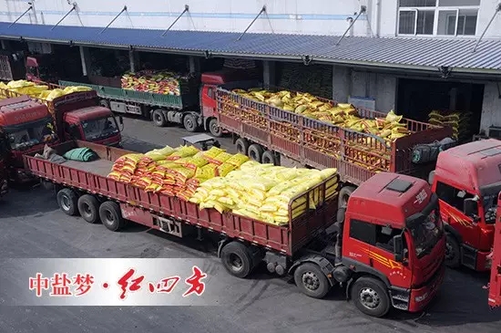 红四方新区繁忙的发货现场 红四方新区繁忙的发货现场