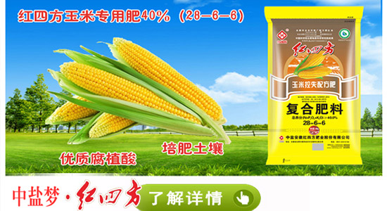 红四方玉米高产专用肥