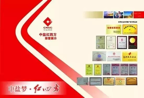 中盐红四方技术创新优势突显