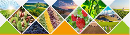美福复合肥品牌助力新农业生产，有效提高作物产量与品质