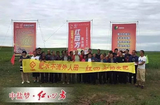 种葵花,我们都用红四方复合肥! 种葵花,我们都用红四方复合肥!