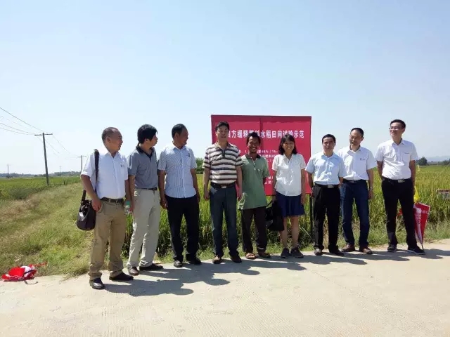31个实验点，真实数据验证产品效果