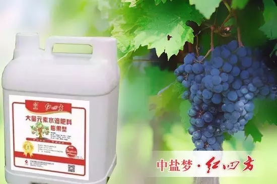红四方果树专用冲施肥