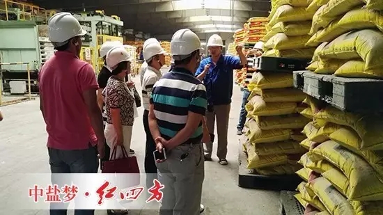 南京耕保站负责人及技术骨干观摩了红四方配方肥研发和生产现场