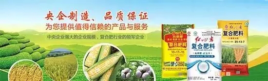 红四方从1958年建厂就开始专注于肥料的生产、销售，近60年的发展奋斗史，拥有“国内一流、国际先进”的化工生产基地，60年央企好品质是最有力的见证！