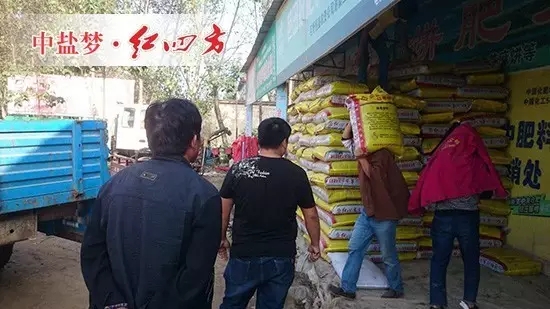 国庆期间，复合肥料促销忙