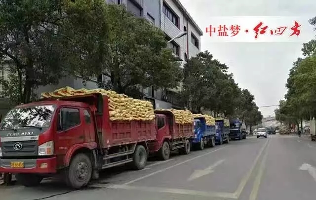 在受粮价下跌、渠道下沉、化肥零增长、化肥优惠政策取消等因素影响，农资行业的竞争日趋激烈状况下，中盐红四方复合肥销售如何势如破竹，独领行业风骚？不忘初心，方得始终